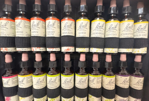 Flores de Bach (incluye mascotas)